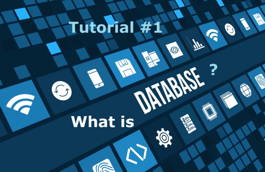 Database (Cơ sở dữ liệu) là gì? Cấu trúc, nguyên lý hoạt động và các loại Database